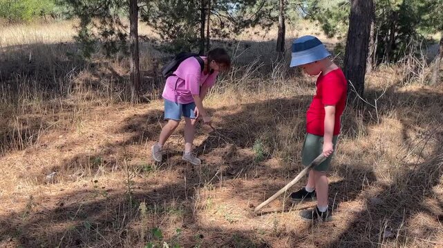 Kids exploring nature, Children engaged in outdoor discovery with sunlight and gentle guidance, Young girl and boy explore leaves and pine debris amidst warm sunlight and tranquil atmosphere