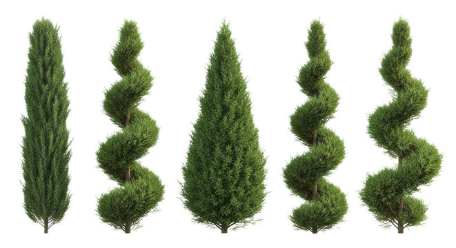 six distinct evergreen juniper trees, including columnar, conical, and spiral topiary forms with vibrant green dense foliage, isolated against a transparent studio background with copy space. concept