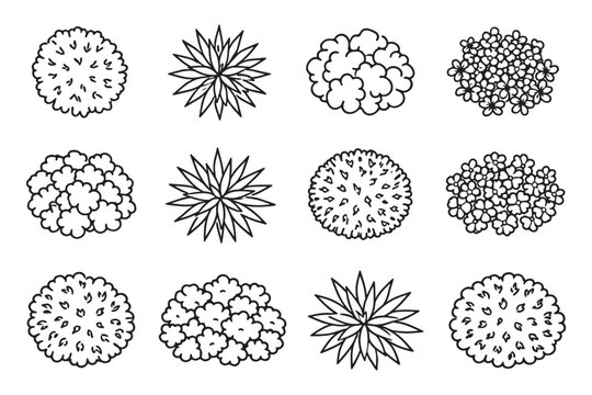 Top View Plants, Bushes and Flower Icons Set in Hand-Drawn Line Art for Garden Design
