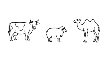 Obraz premium Eid Al Adha animal icons featuring a cow, sheep, and camel in a simple line art style for Islamic celebrations