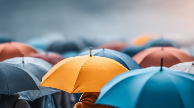 Colorful Large Umbrellas in Open Outdoor Setting on Rainy Day