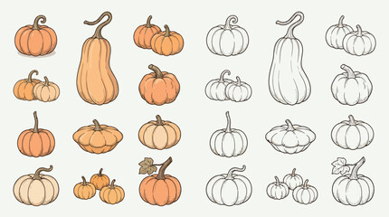 A collection of various pumpkin and squash illustrations, both colored and line art, showcasing different shapes and sizes. © renender