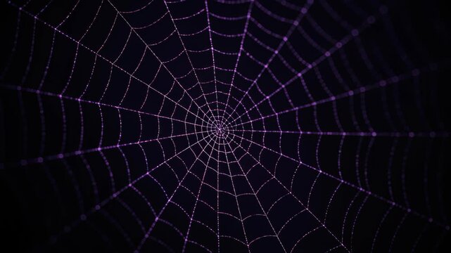 Spider Web's Symmetry: A close-up view of a spider web against a dark background, revealing its intricate structure and radial symmetry, showcasing the precision of nature's design.
