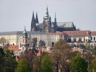 Obraz premium Urban rooftops with green layers. Aerial perspective capturing historic structures and green spaces