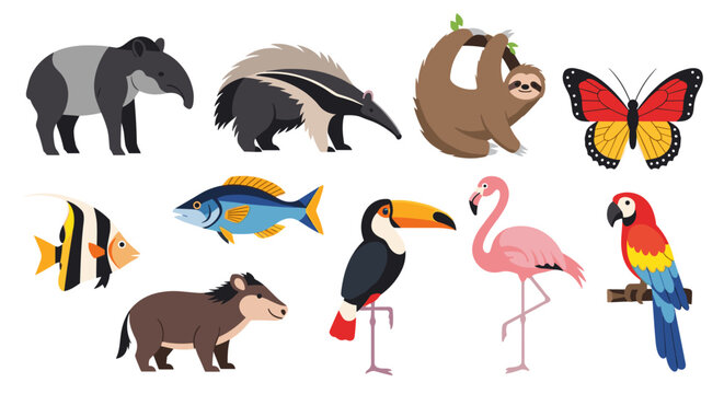 Collection of diverse amazon rainforest animals including tapir anteater sloth butterfly fish toucan flamingo macaw