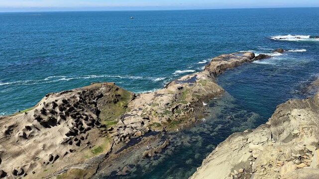 Beautiful, unusual rocks on the coast of Oregon at Shore Acres State Park.