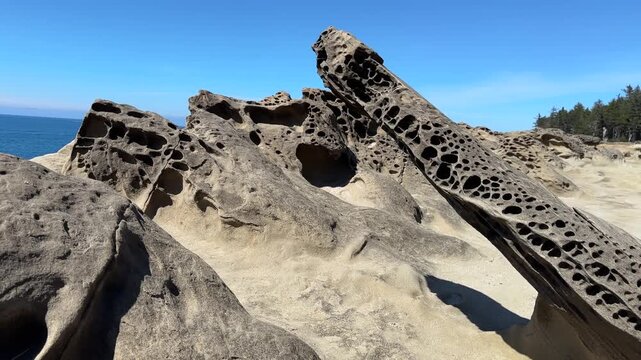 Beautiful, unusual rocks on the coast of Oregon at Shore Acres State Park.