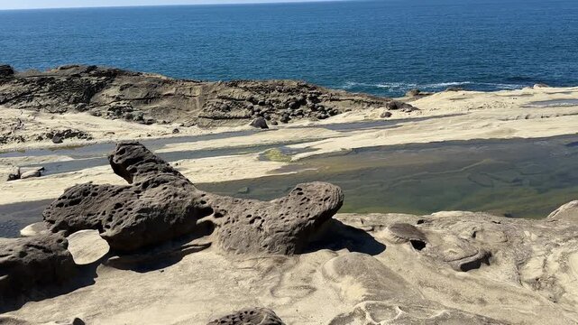 Beautiful, unusual rocks on the coast of Oregon at Shore Acres State Park.