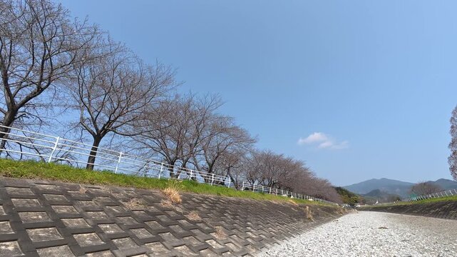 桜がまだ咲いていない川沿いを歩く