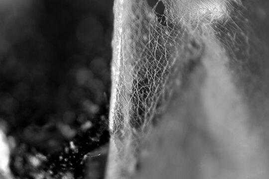 Macro texture of whiteheads and blackhead on peel off mask