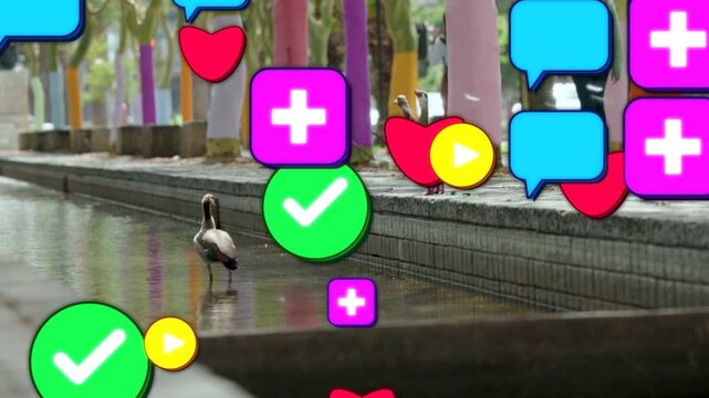 Ducks standing at pool edge while heart appearing, ad icons rising, obscuring ducks and walkers