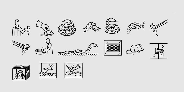 icon set collection of snake care and terrarium maintenance, featuring feeding rodents, habitat cleaning, and secure reptile enclosure equipment.