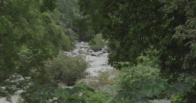 Aerial View of River Surrounded by Lush Greenery in Tayrona Colombia