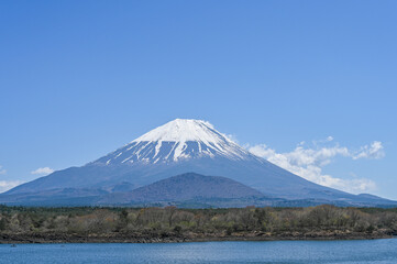 Obraz premium 山梨県精進湖と富士山 