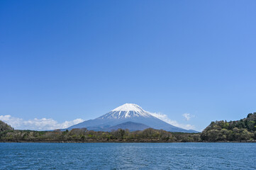Obraz premium 山梨県精進湖と富士山 