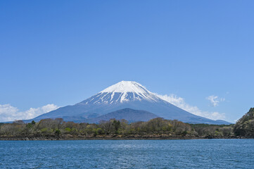 Obraz premium 山梨県精進湖と富士山 