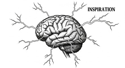 Fototapeta premium Human Brain with Branches and Word Inspiration.