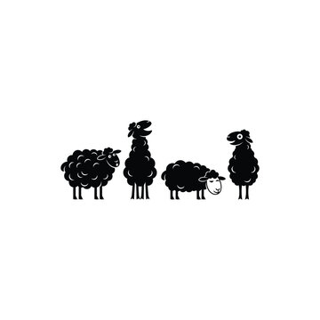 Four sheep standing in a line looking around a rural landscape