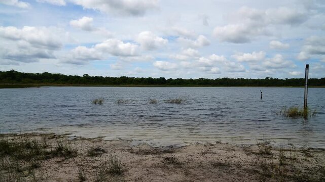 Landscape of Lake Rogers Park in Odessa, Florida, close to Tampa