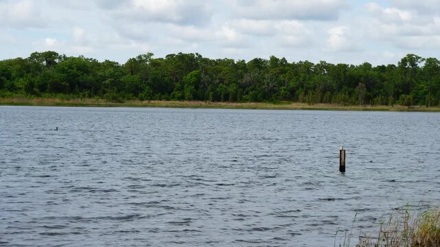 Landscape of Lake Rogers Park in Odessa, Florida, close to Tampa
