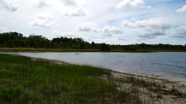 Landscape of Lake Rogers Park in Odessa, Florida, close to Tampa