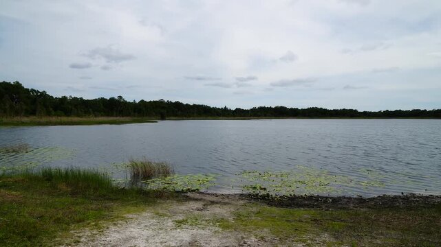 Landscape of Lake Rogers Park in Odessa, Florida, close to Tampa