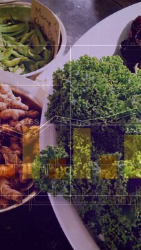 Vertical video: Camera pulling as hand entering left choosing roots, kale filling right with charts