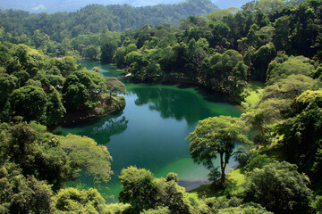 Obraz premium lake in the forest