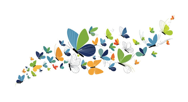 Colorful flying butterflies vector illustration, swarm of vibrant butterfly insects in motion, decorative spring nature border on white background