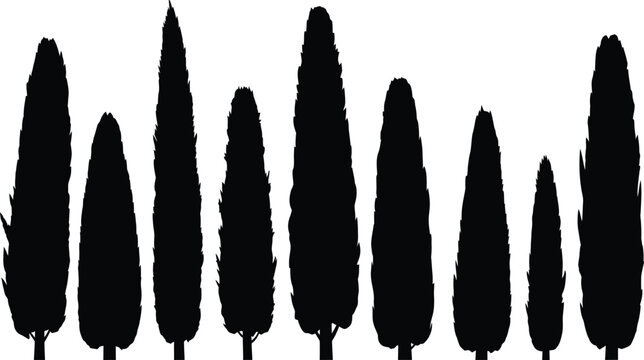 Cypress tree silhouette row collection with tree line