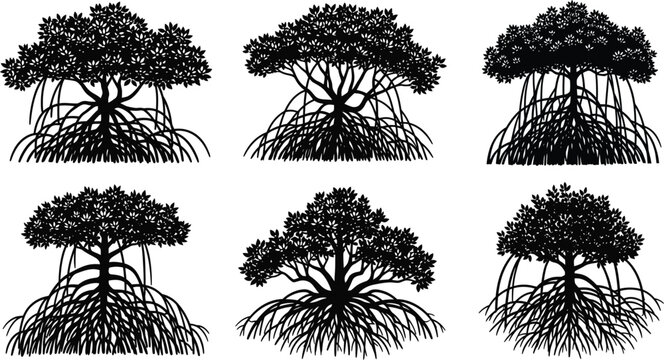 Collection of mangrove tree silhouettes