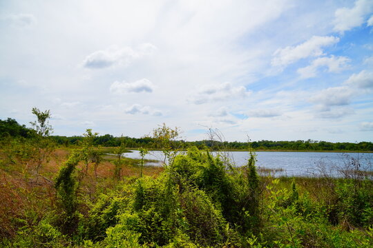 Landscape of Lake Rogers Park in Odessa, Florida, close to Tampa