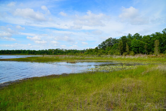 Landscape of Lake Rogers Park in Odessa, Florida, close to Tampa