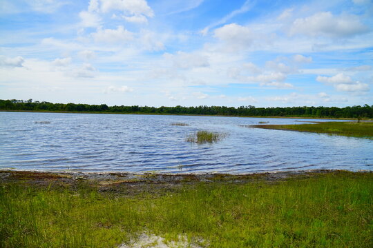 Landscape of Lake Rogers Park in Odessa, Florida, close to Tampa