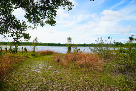 Landscape of Lake Rogers Park in Odessa, Florida, close to Tampa