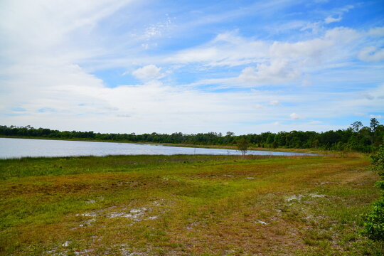 Landscape of Lake Rogers Park in Odessa, Florida, close to Tampa
