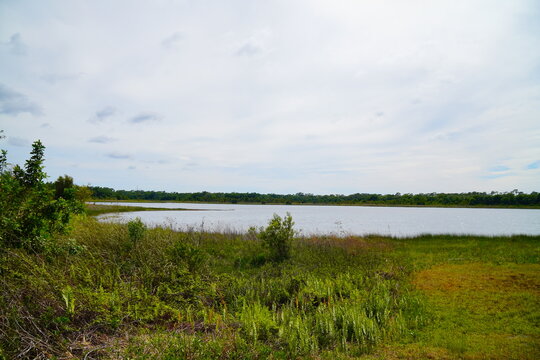 Landscape of Lake Rogers Park in Odessa, Florida, close to Tampa