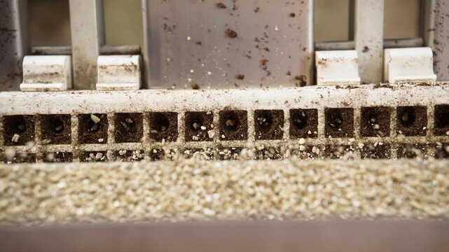 Close-up of automated agricultural machinery dispensing granular fertilizer or minerals onto soil modules in a commercial nursery