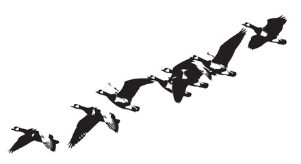 Vector illustration of geese flying in formation V shape © Mofizul