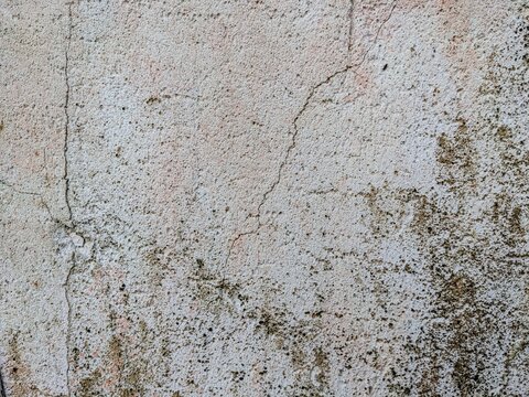 Cracked and weathered textured wall surface with visible signs of age and decay, showing subtle color variations and organic growth