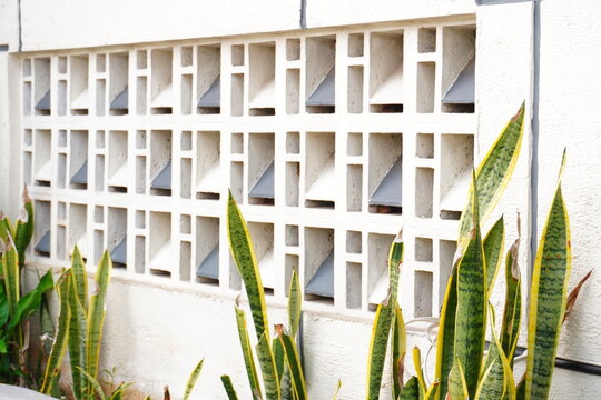 Decorative breeze block wall with snake plants in a garden