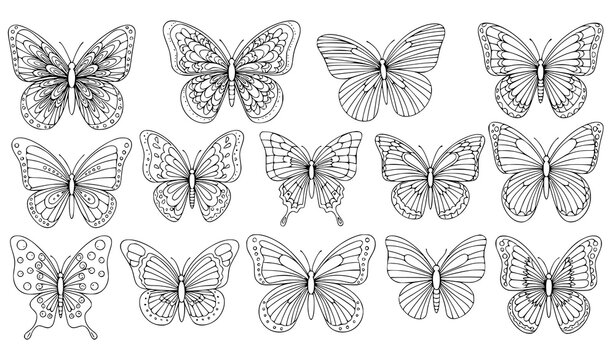 Butterfly outline coloring page set hand drawn insect line art vector illustration isolated