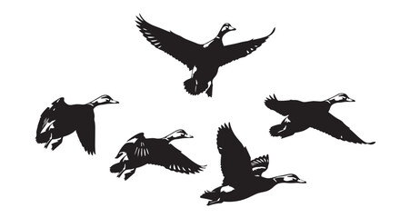 Black geese flying in formation vector illustration graphic design © Akel