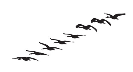 Vector illustration of geese flying in formation, black silhouettes, diagonal flight pattern, graphic design element, flying birds, wildlife, nature, vector graphic © Akel