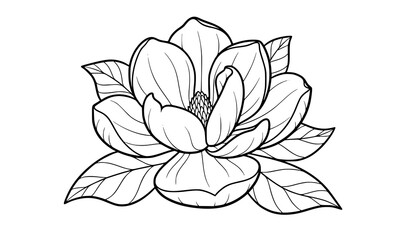 Magnolia flower bold line art coloring page simple floral outline vector illustration © Md
