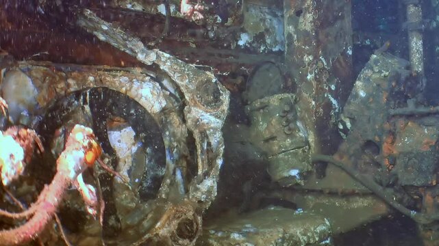 Journey into the abyssal depths of the Sea of Japan reveals an ancient, encrusted machine. A vibrant, long-limbed creature gracefully wanders the corroded metal, a haunting and enduring ocean dwelling