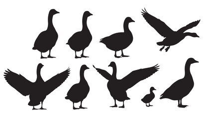 Vector goose silhouettes set with various poses and flying ducks © Akel