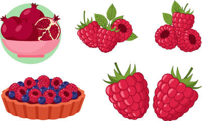 Vector Set of Raspberries and Pomegranates Including Berries, Fruit Bowl, and Tart for Healthy Eating, Fruit, and Dessert Illustrations © Saidi