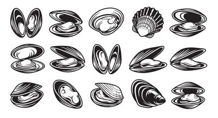 Vector illustration of various clam shells and mussels in black and white, seafood graphic design elements, shellfish vector graphics, ocean food illustration © Bokul
