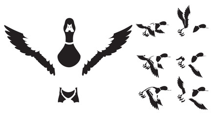 Vector illustration of flying birds in black silhouettes on white background © Bokul